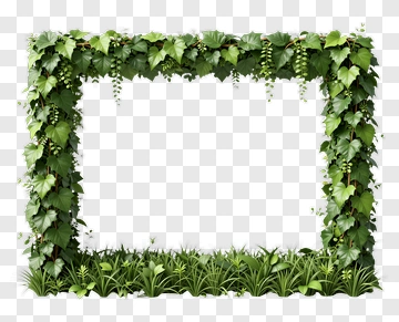 Green Leafy Frame PNG