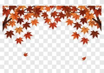 Autumn Maple Leaves PNG