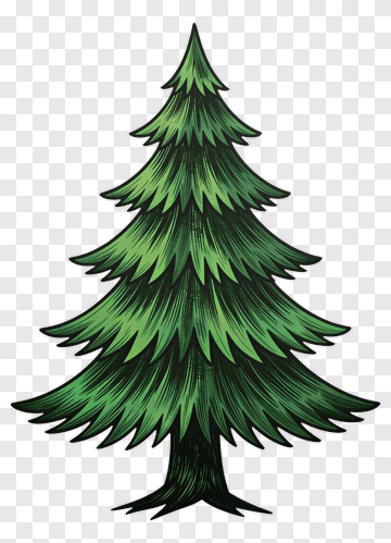 Green Pine Tree PNG