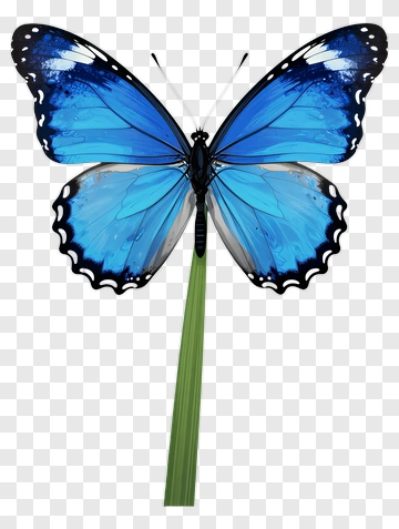Blue Butterfly On Green Stem PNG