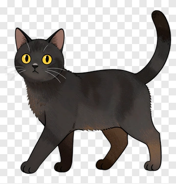 Cartoon Black Cat PNG