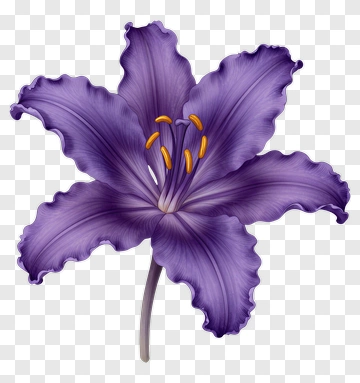 Purple Flower With Yellow Stamen PNG