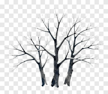 Winter Trees With Snow PNG