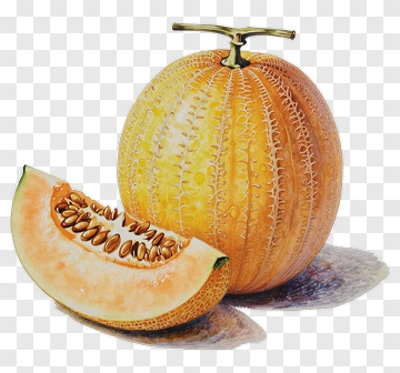 Melon With Sliced Piece PNG
