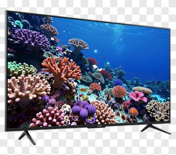 Coral Reef Displayed On A Television Screen PNG