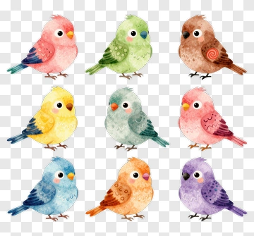 Colorful Cartoon Birds Collection PNG