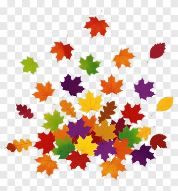 Colorful Autumn Leaves PNG
