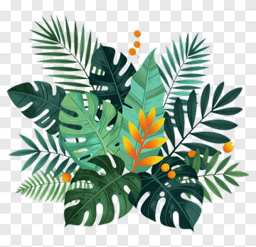 Colorful Tropical Leaves Arrangement PNG
