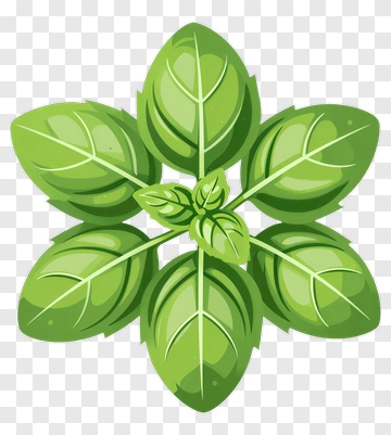 Green Leaf Arrangement PNG
