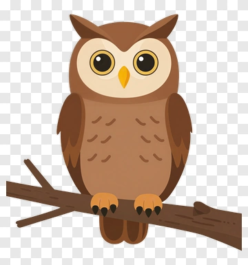 Cartoon Owl Sitting On A Branch PNG