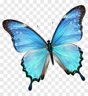 Colorful Butterfly With Blue And Black Wings PNG