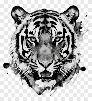Black And White Tiger Head Illustration PNG