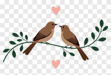 Two Birds On A Branch With Hearts PNG