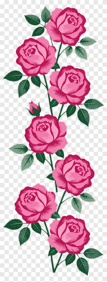 Pink Roses With Green Leaves PNG