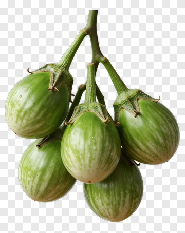 Green Eggplants Bunch PNG