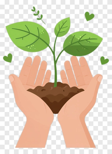 Hands Holding A Growing Plant PNG