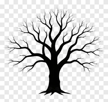 Black Silhouetted Tree With Bare Branches PNG