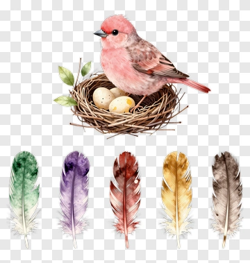 Pink Bird Sitting In A Nest With Eggs PNG