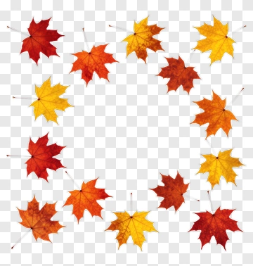 Colorful Autumn Leaves Arrangement PNG