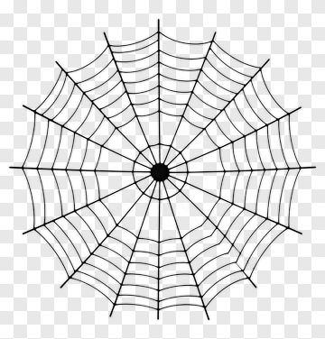 Black Spider Web PNG