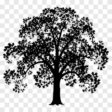 Silhouette Tree PNG