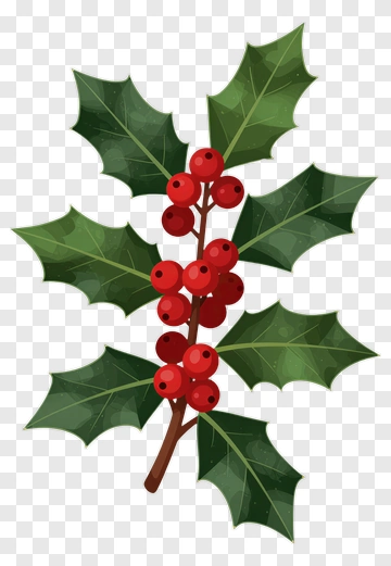 Holly Branch With Red Berries PNG