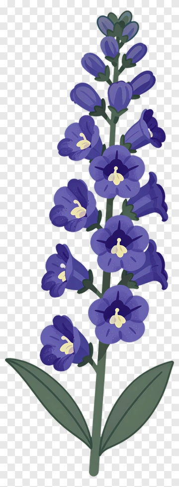 Purple Flower With Green Leaves PNG