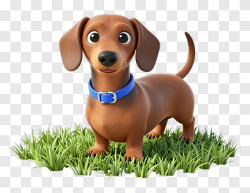 Cartoon Dachshund Standing On Grass PNG