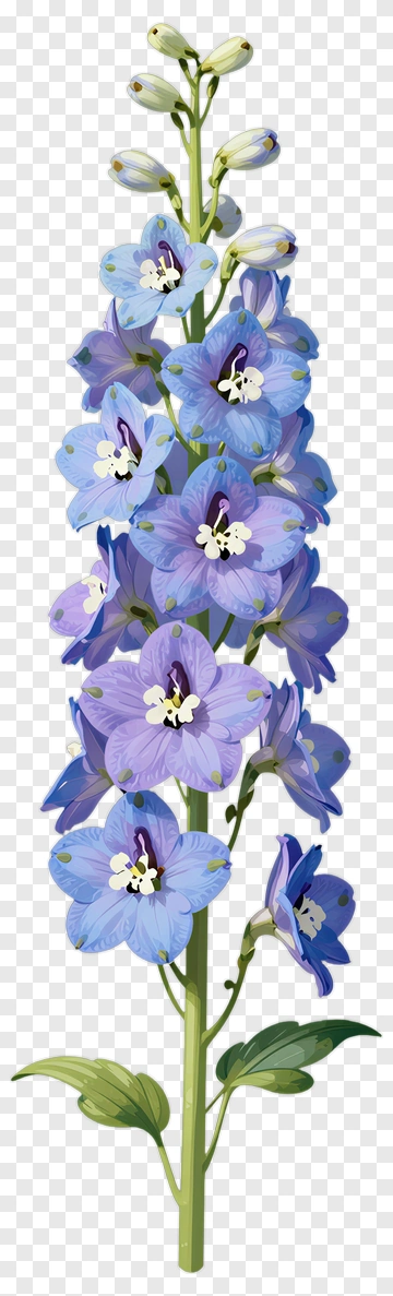 Blue Delphinium Flower PNG