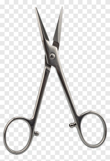 Silver Scissors PNG