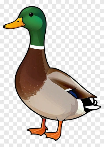 Cartoon Duck PNG