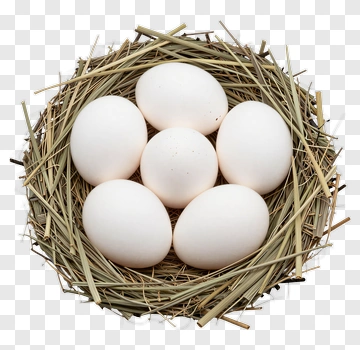 Nest With White Eggs PNG