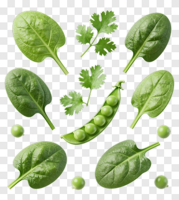 Fresh Spinach And Peas Composition PNG