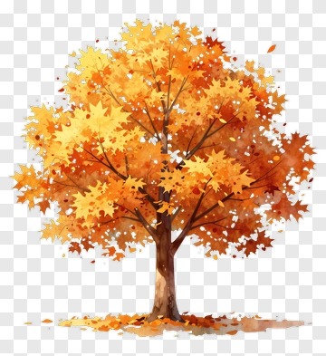 Colorful Autumn Tree PNG