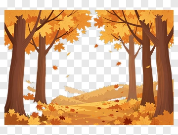 Autumn Forest With Colorful Leaves PNG