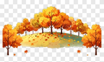 Colorful Autumn Forest PNG
