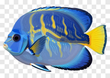 Colorful Blue Fish PNG