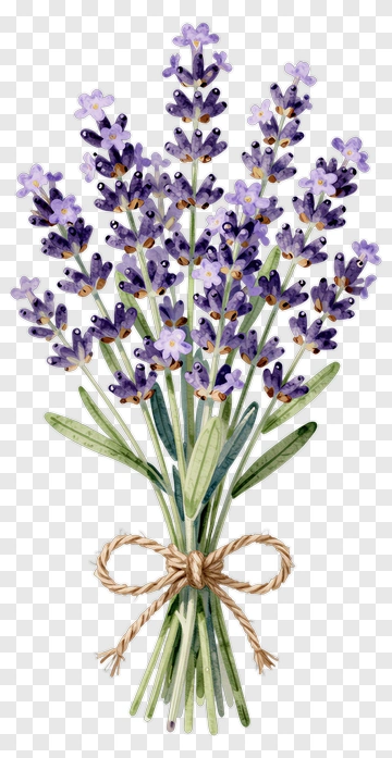 Lavender Bouquet PNG