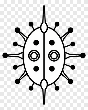 Black And White Ladybug Illustration PNG