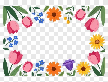 Colorful Floral Frame PNG
