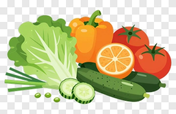 Colorful Vegetable Arrangement PNG