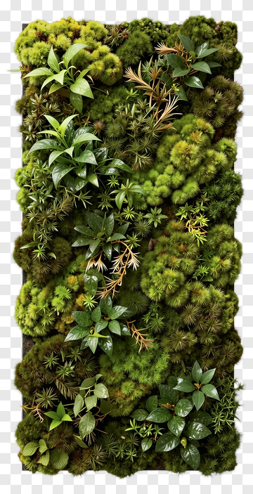 Lush Green Vertical Garden PNG