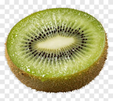 Kiwi Fruit Slice PNG