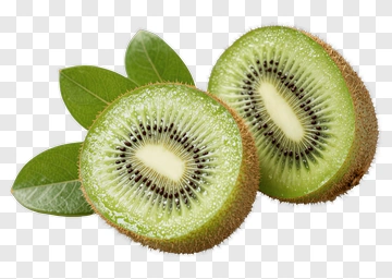 Fresh Kiwi Fruit Slices PNG