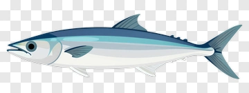 Cartoon Fish PNG