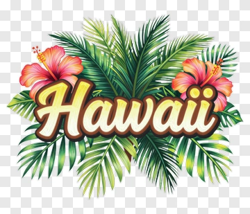 Hawaii Floral Design With Hibiscus And Palm Leaves PNG