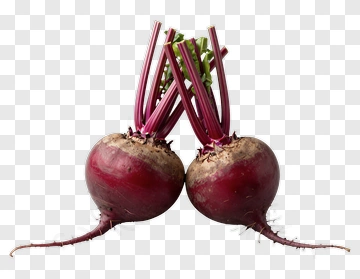 Beetroot With Green Tops PNG