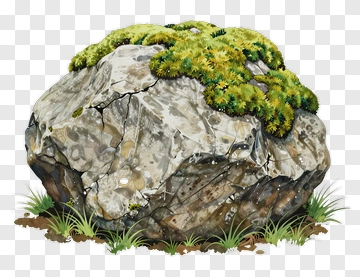 Rock Covered With Green Moss PNG