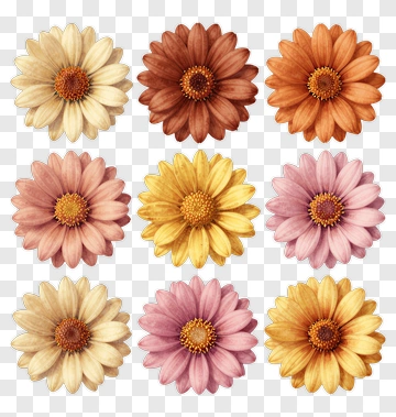Colorful Flower Bouquet PNG