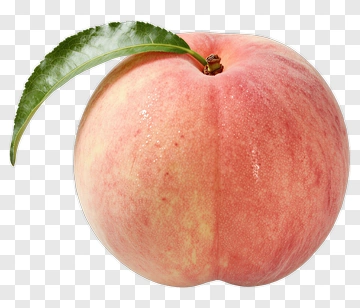 Peach With Leaf PNG